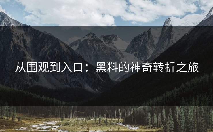 从围观到入口:黑料的神奇转折之旅 从围观到入口:黑料的神奇转折之旅